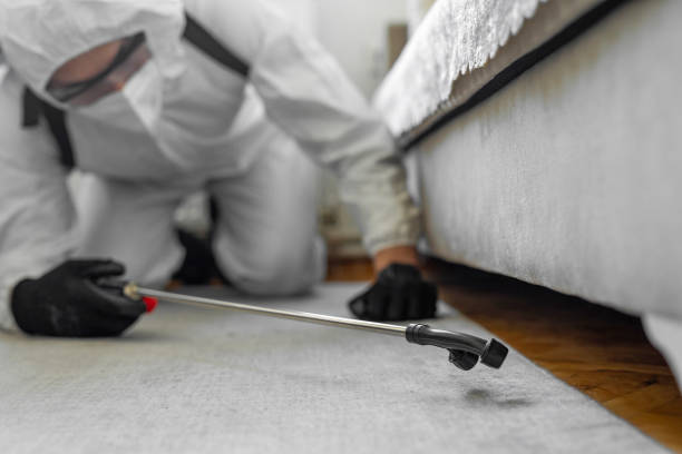 Professional Bed Bug Control technician working in Bay Springs, MS