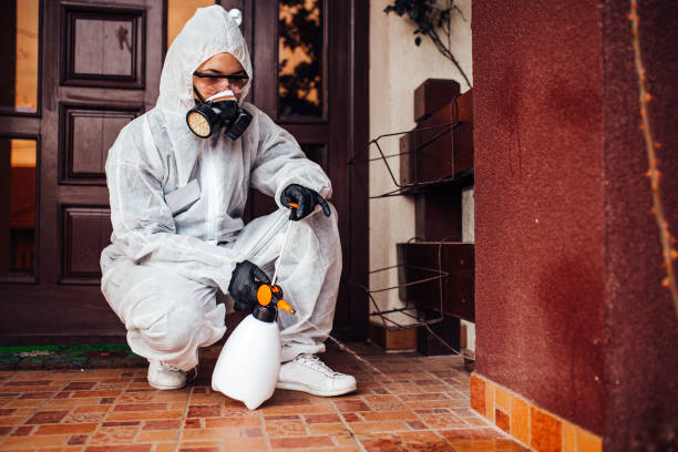 Reliable Bed Bug Control contractor in Bay Springs, MS by Nex Pest Control