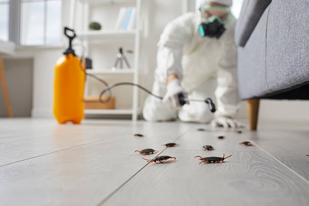 Trusted Fumigation Services service in Bay Springs, MS - Nex Pest Control