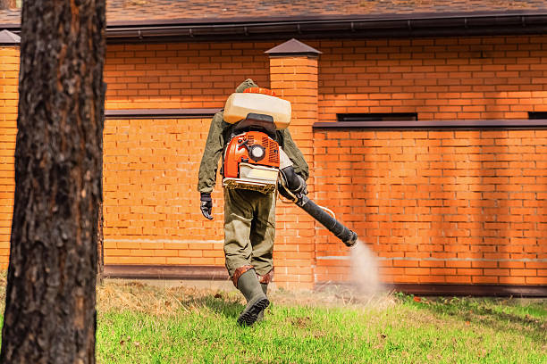 Trusted Bed Bug Control service in Bay Springs, MS - Nex Pest Control